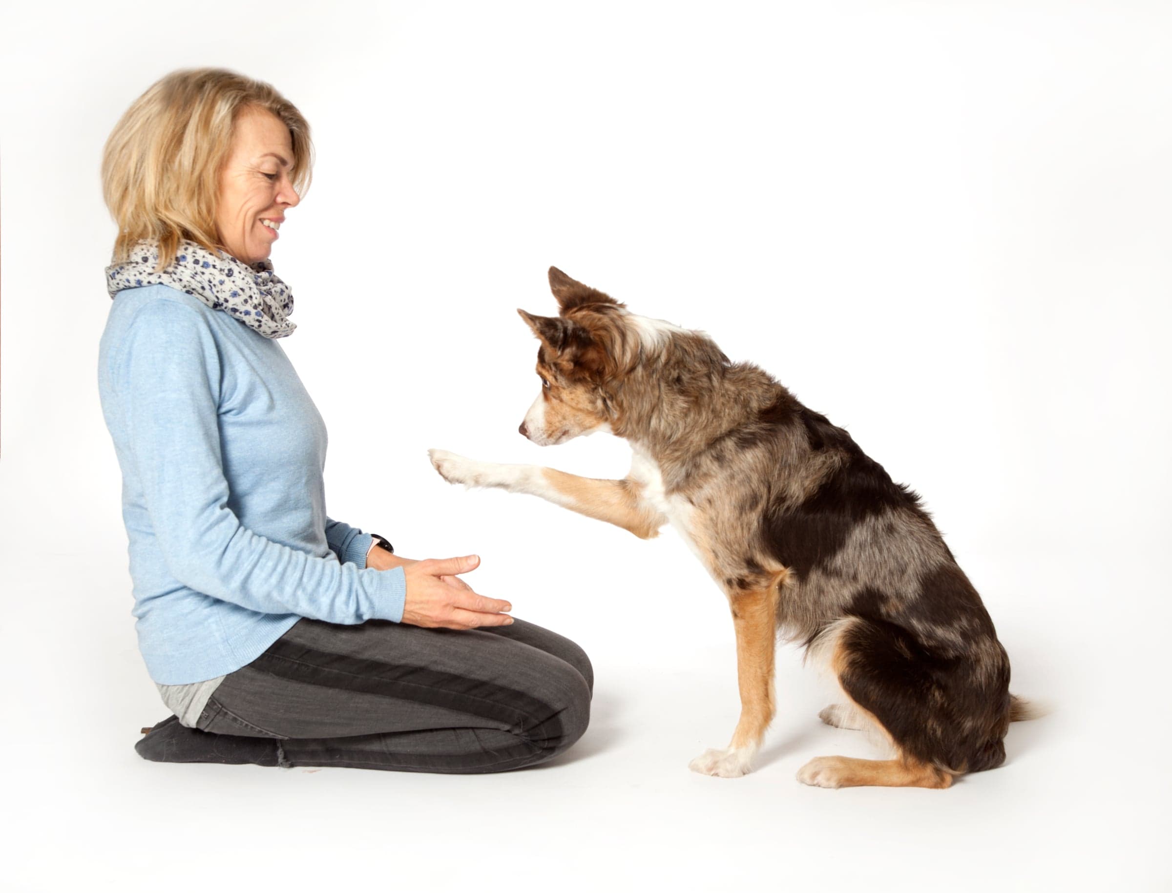 Individualtimer – kvalitetstid for deg og din hund – Se priser i oppslaget