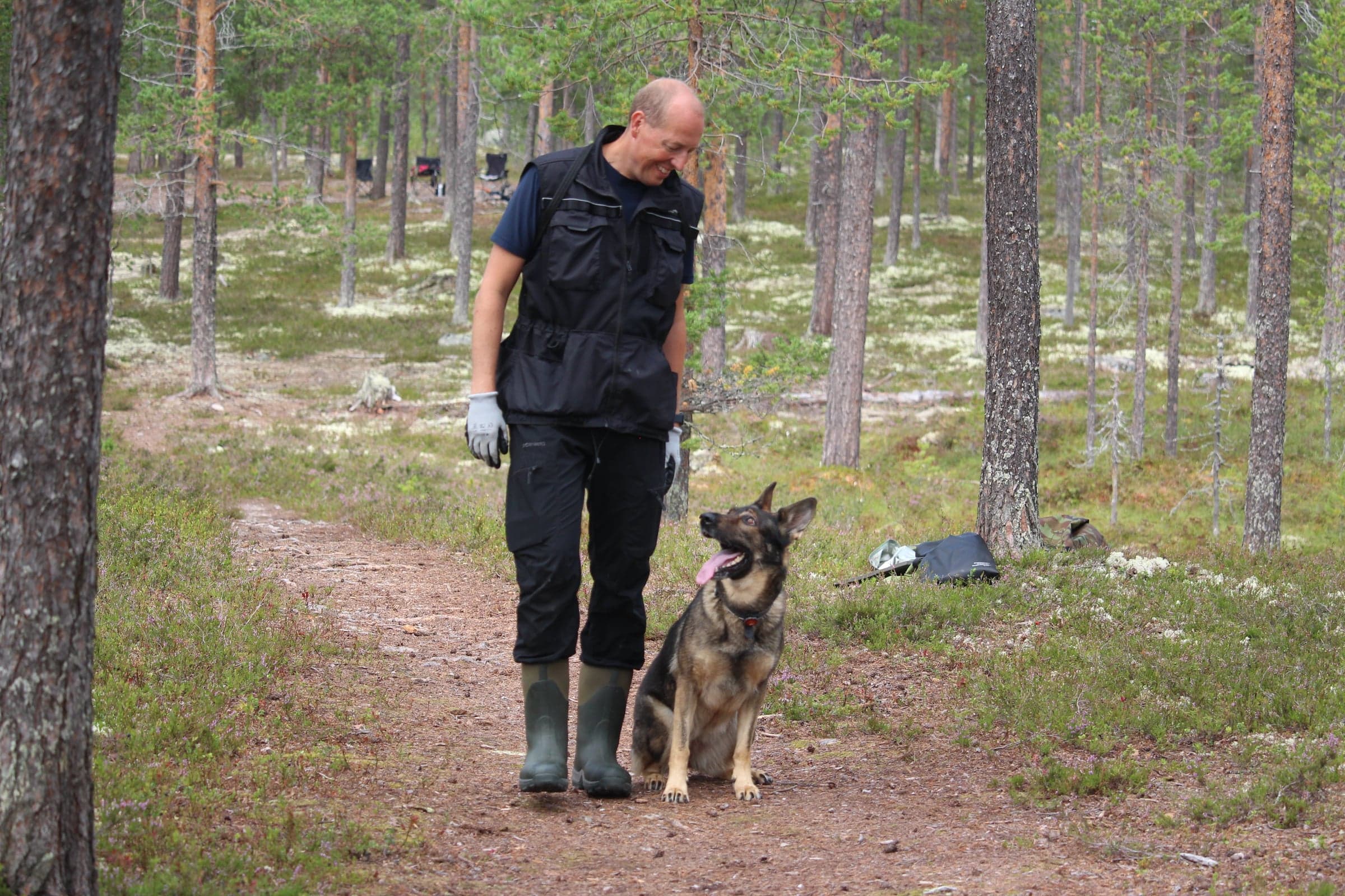 Privatundervisning BRUKSHUND
