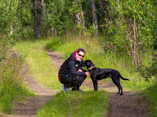 Privattime til hund med instruktør Julie Bya