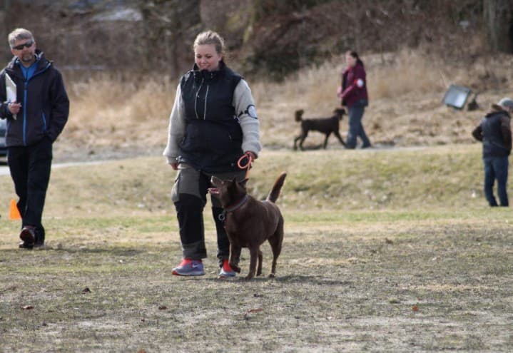 Portrett av Lisa Marie Havro