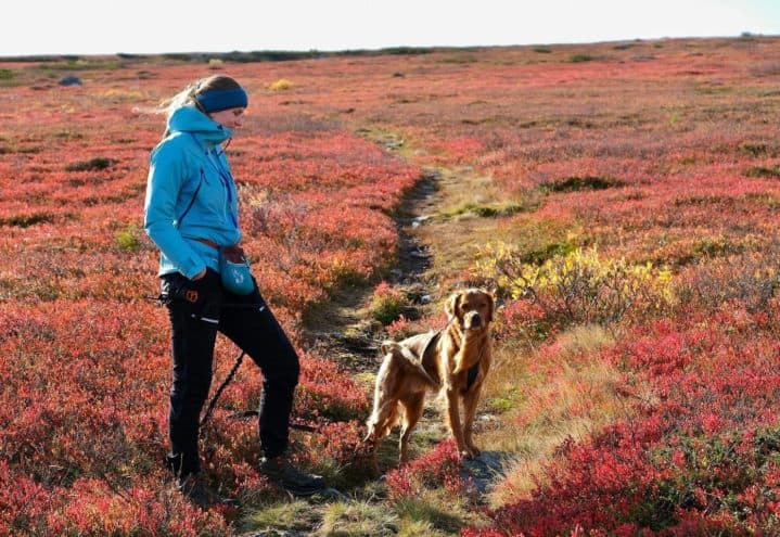 Portrett av Tori Solberg Halvorsen