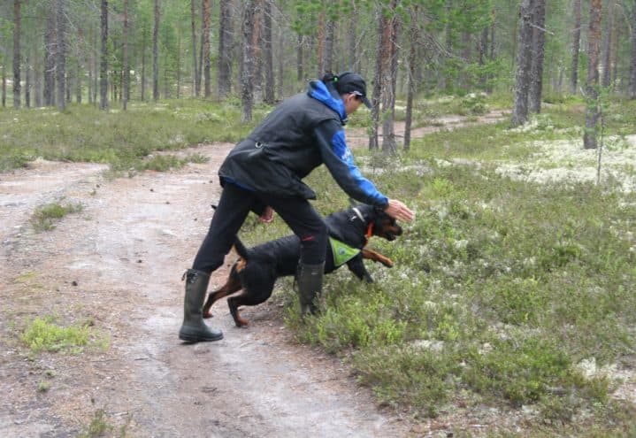 Østfold