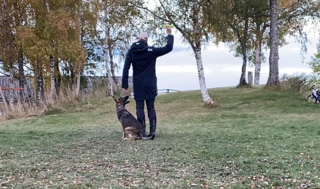 En morsom shapingøkt