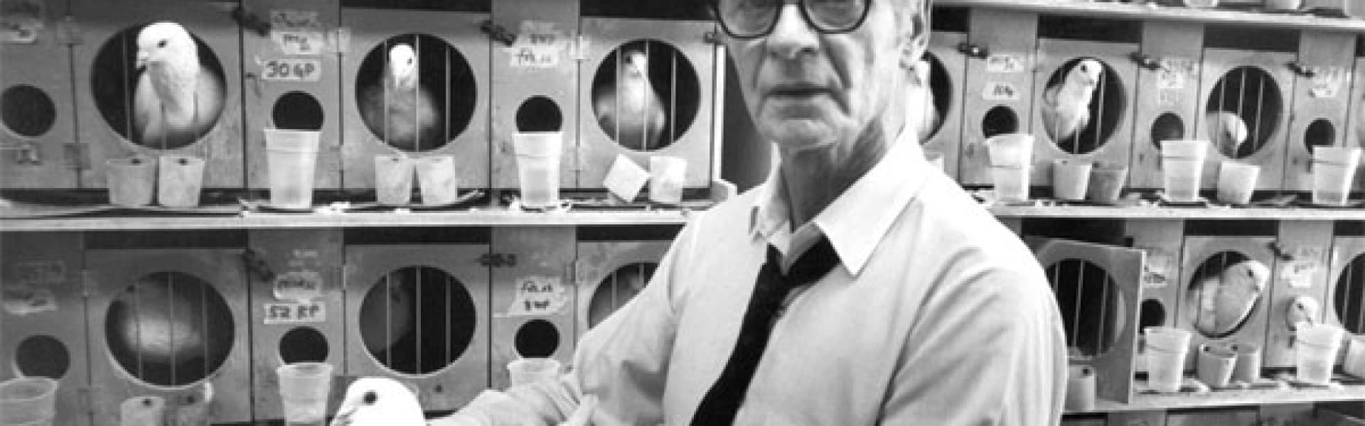 Historietime med B. F. Skinner